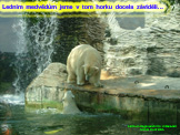 maséři v zoo